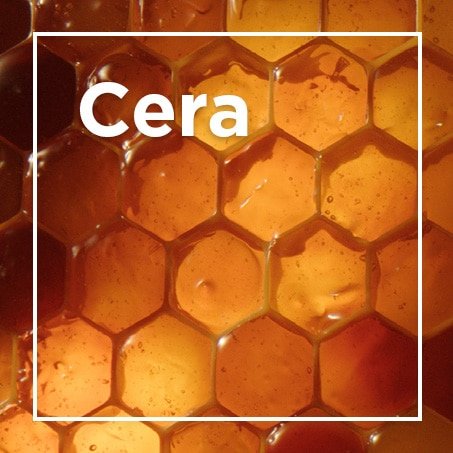 Ceras