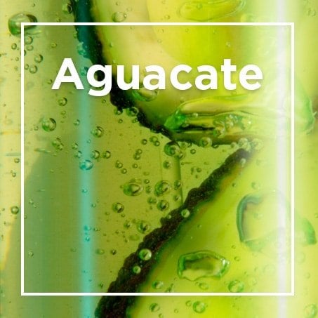 Aguacate