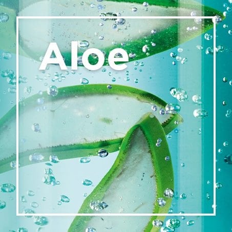 Aloe
