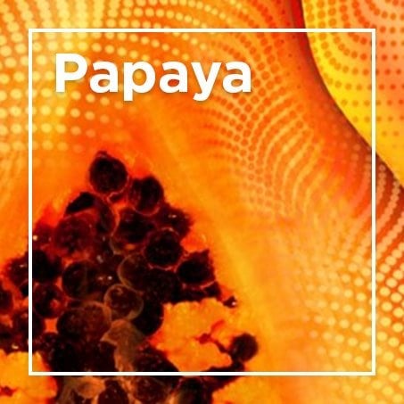 Papaya