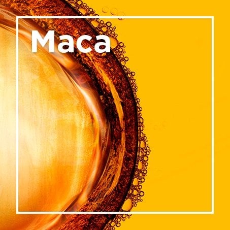 Maca