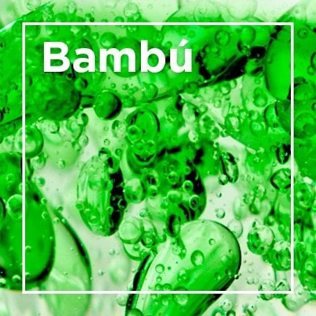 Bambú
