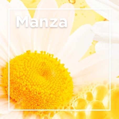 Manzanilla