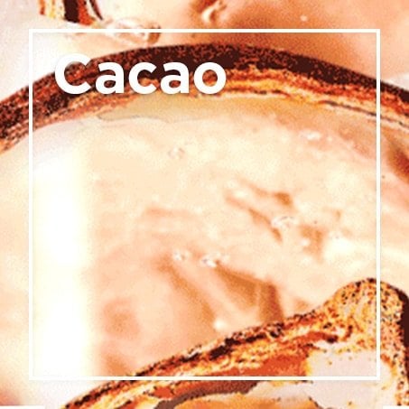 Cacao