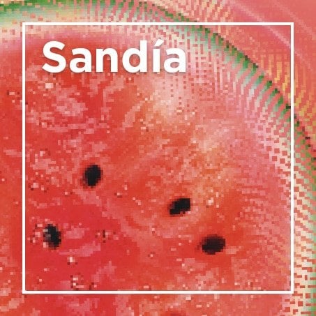 Sandia