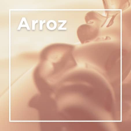 Arroz