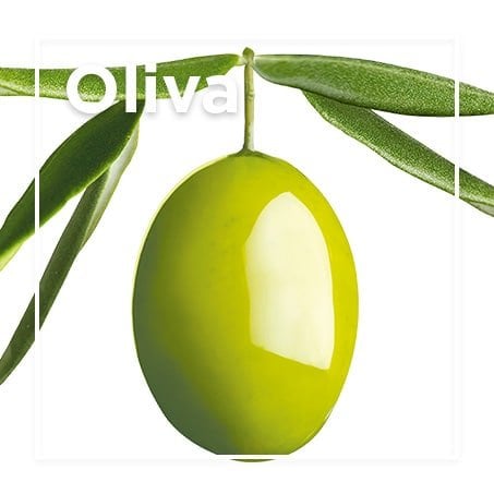 Oliva