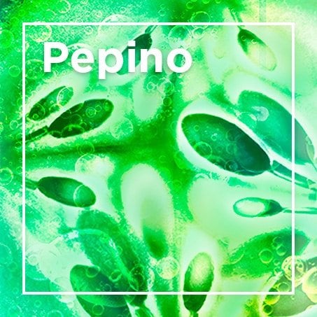 Pepino