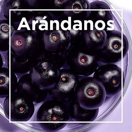 Arándanos