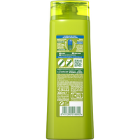 Champu Fructis Fuerza y Brillo