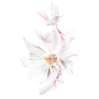 Tissue Mask Skin active