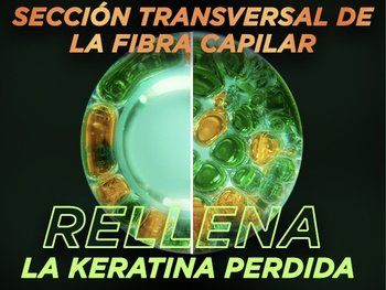 Fructis Adios Daños