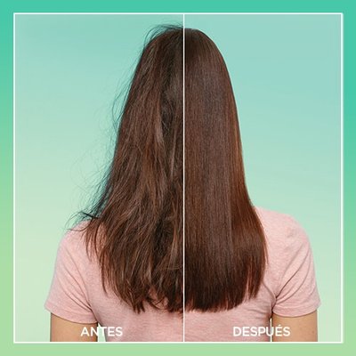 Hair Food Aloe Mascarilla