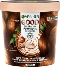 Tinte Castaño 5.32 Good