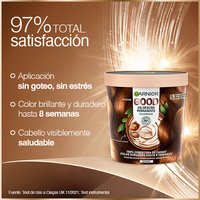 Tinte Castaño 5.32 Good