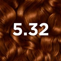 Tinte Castaño 5.32 Good