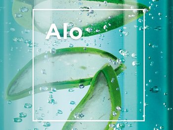 Ingrediente Aloe Vera 2