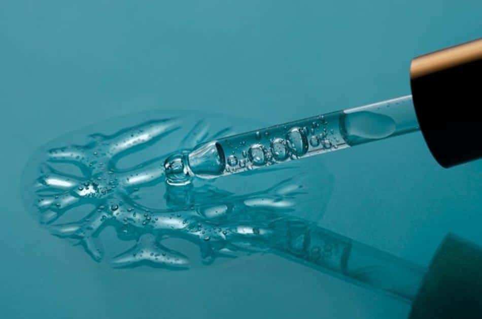 Acido hialurnico y ceramidas