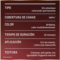 GARNIER GOOD Origen Natural Tono 4.52 Castaño Ciruela