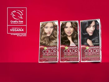 10 semanas de color vibrante