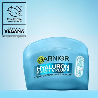 Sorbete Hyaluron Fresh & Plump