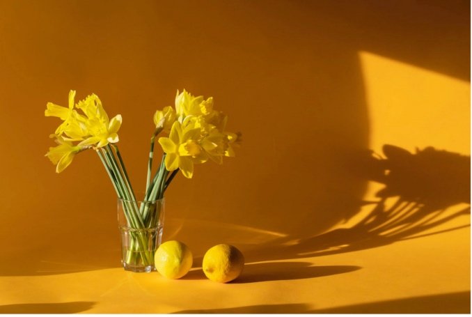Vitamina C en Verano