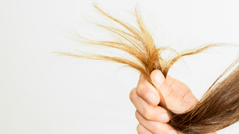10 consejos para evitar tu pelo se seco y quebradizo | Blog Garnier