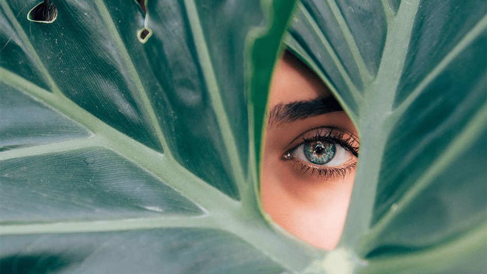 ojo de una chica y una hoja verde