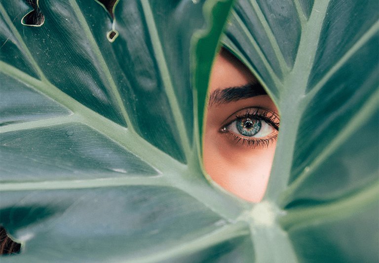 ojo de una chica y una hoja verde
