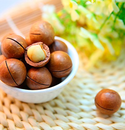 Alisado macadamia deals
