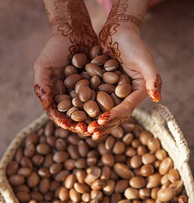 dos manos sujetan un puñado de semillas de argan