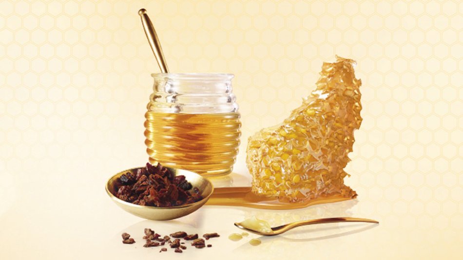 Comer panal de miel: beneficios y cómo comer el panal - Miel Doray