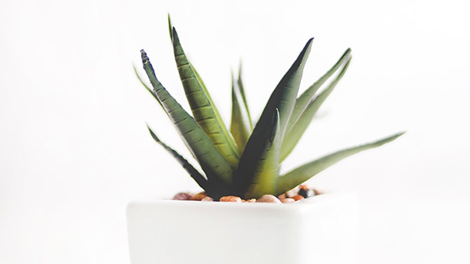 chica sentada en una amaca en la playa