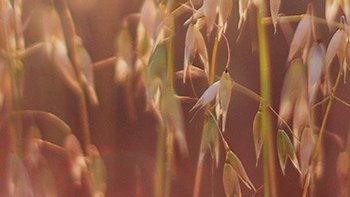 5 Content block video 640 x 360