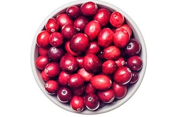 bp ingredientes arandanos imagen3