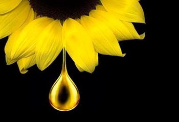 OLIA, EL PODER DEL ACEITE