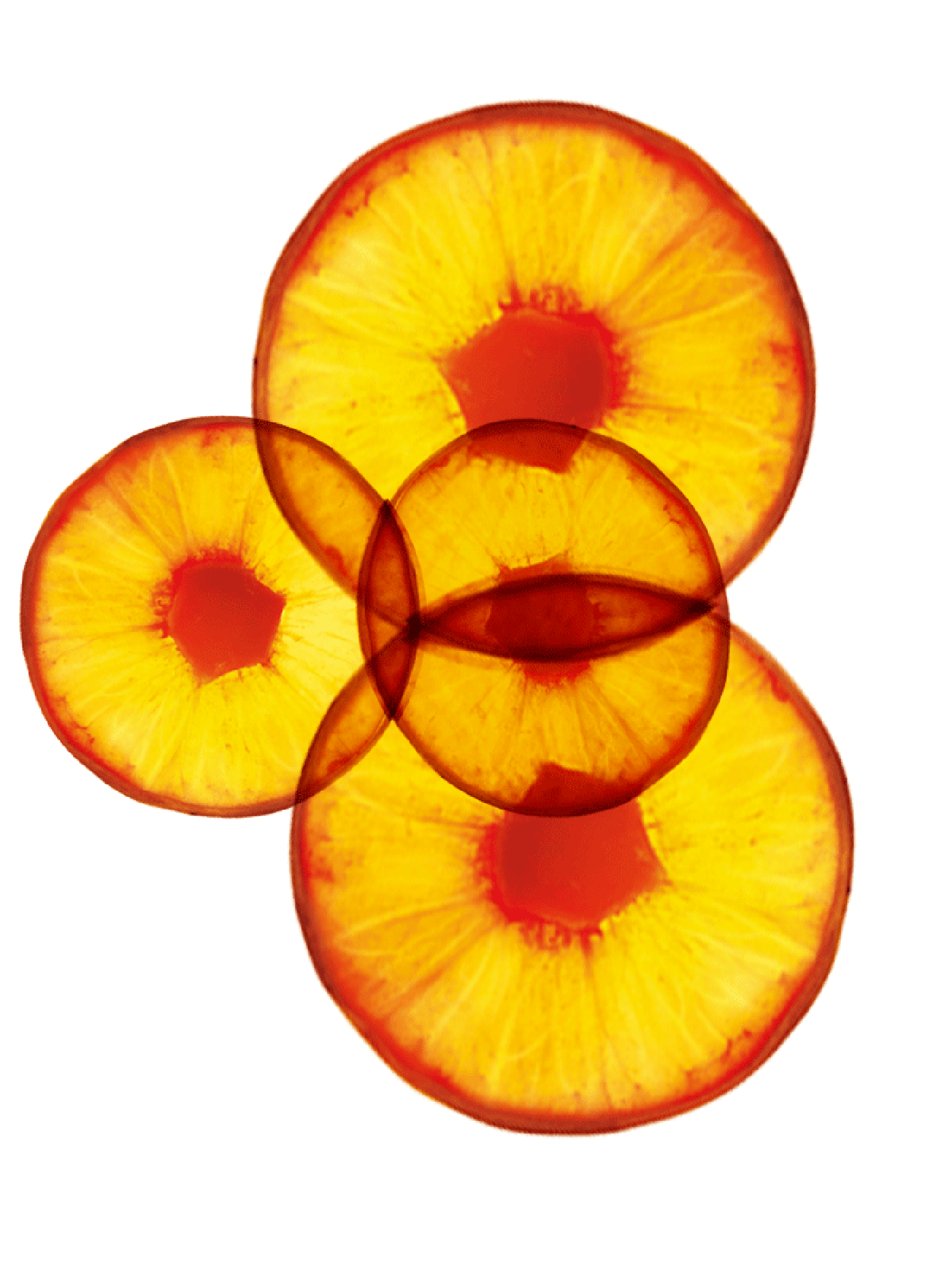 Fructis Adios Daños