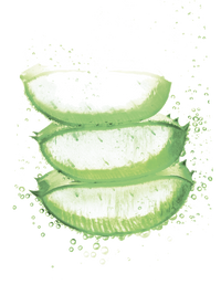 Fructis Aloe Hydra Bomb