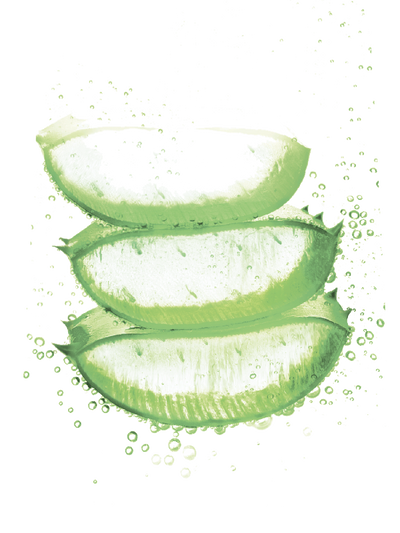 Fructis Aloe Hydra Bomb