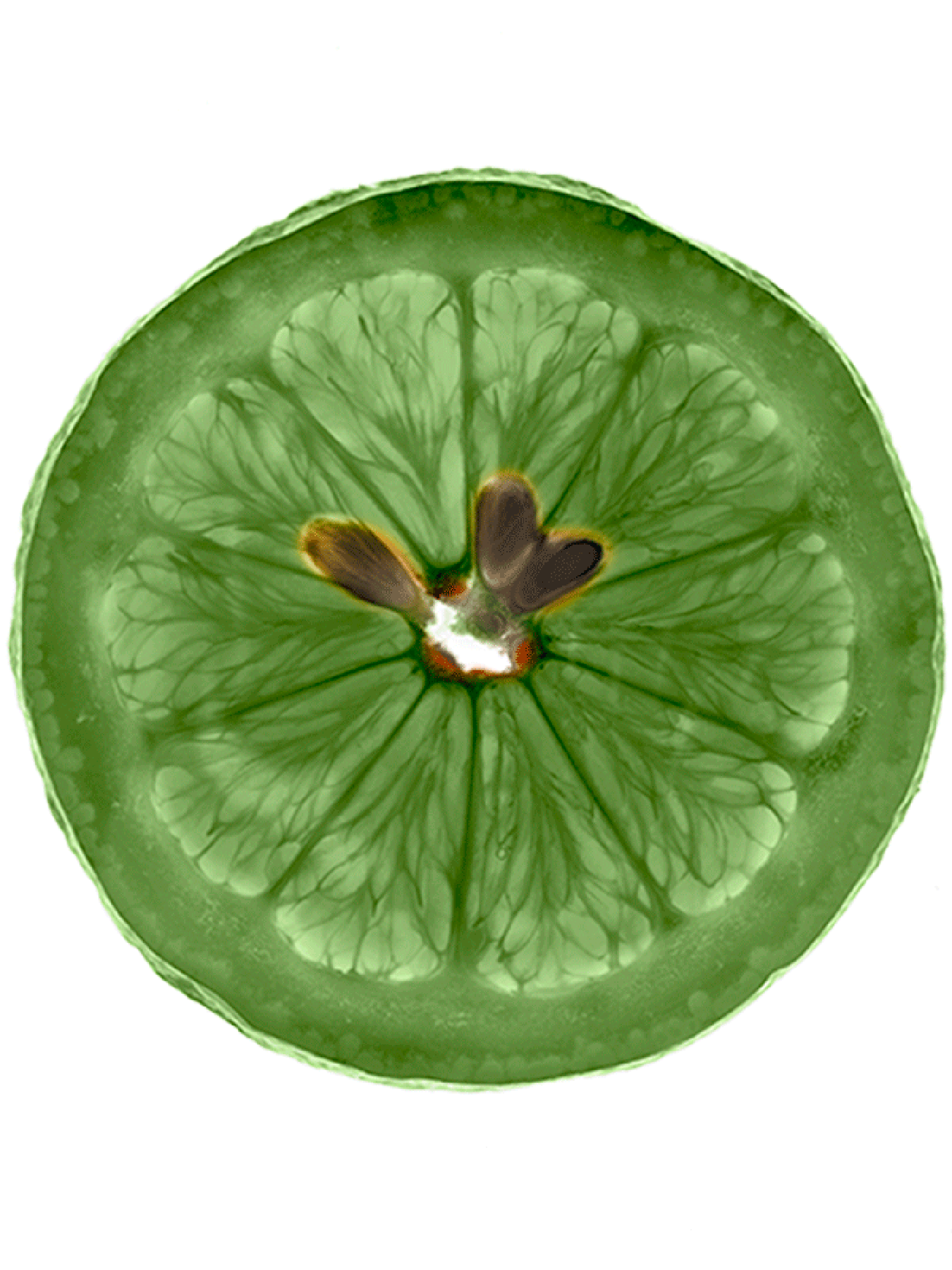Fructis Fuerza y Brillo