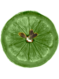 Fructis Fuerza y Brillo