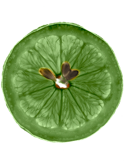 Fructis Fuerza y Brillo