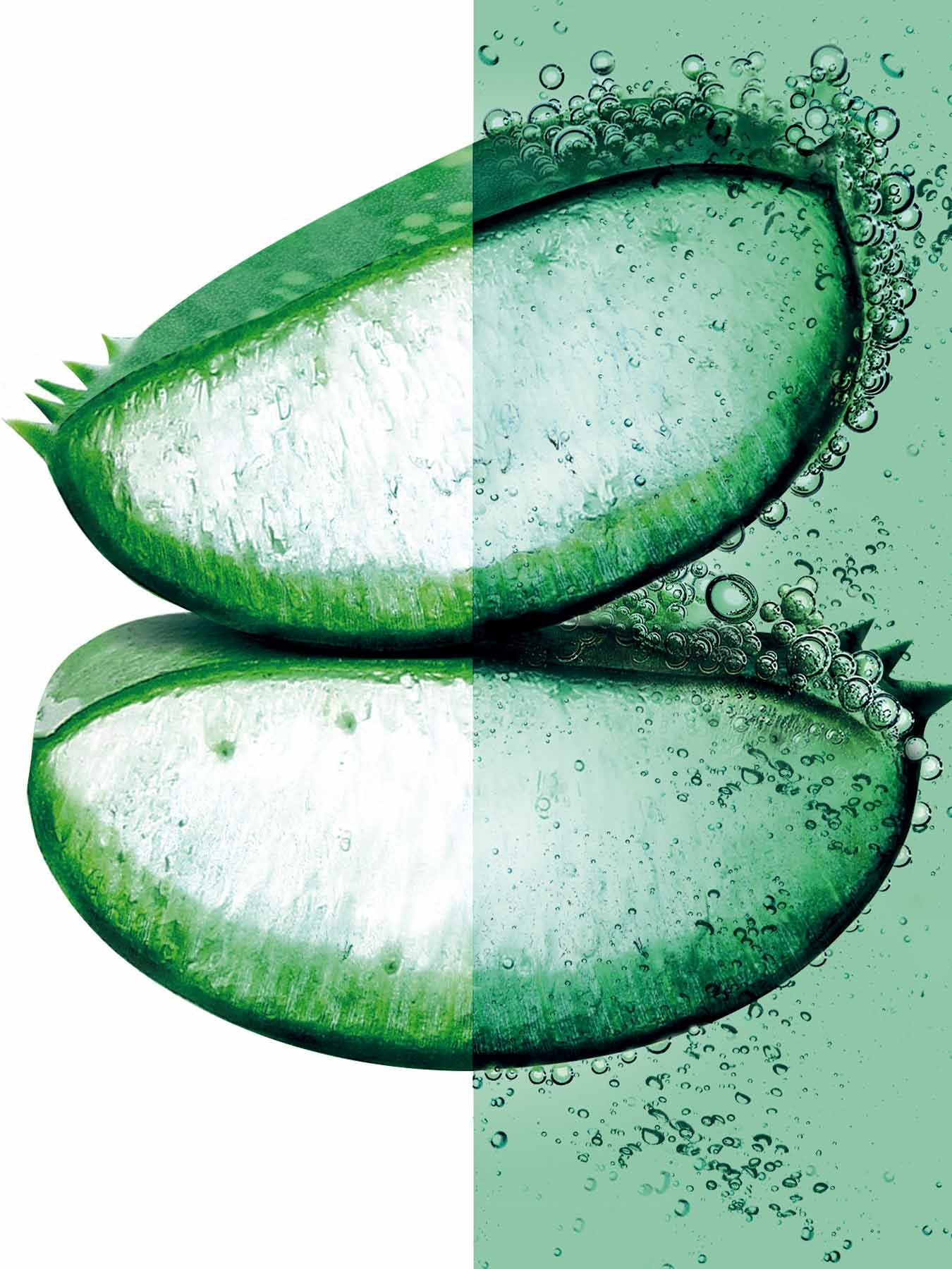 Fructis Hair Food Aloe Vera