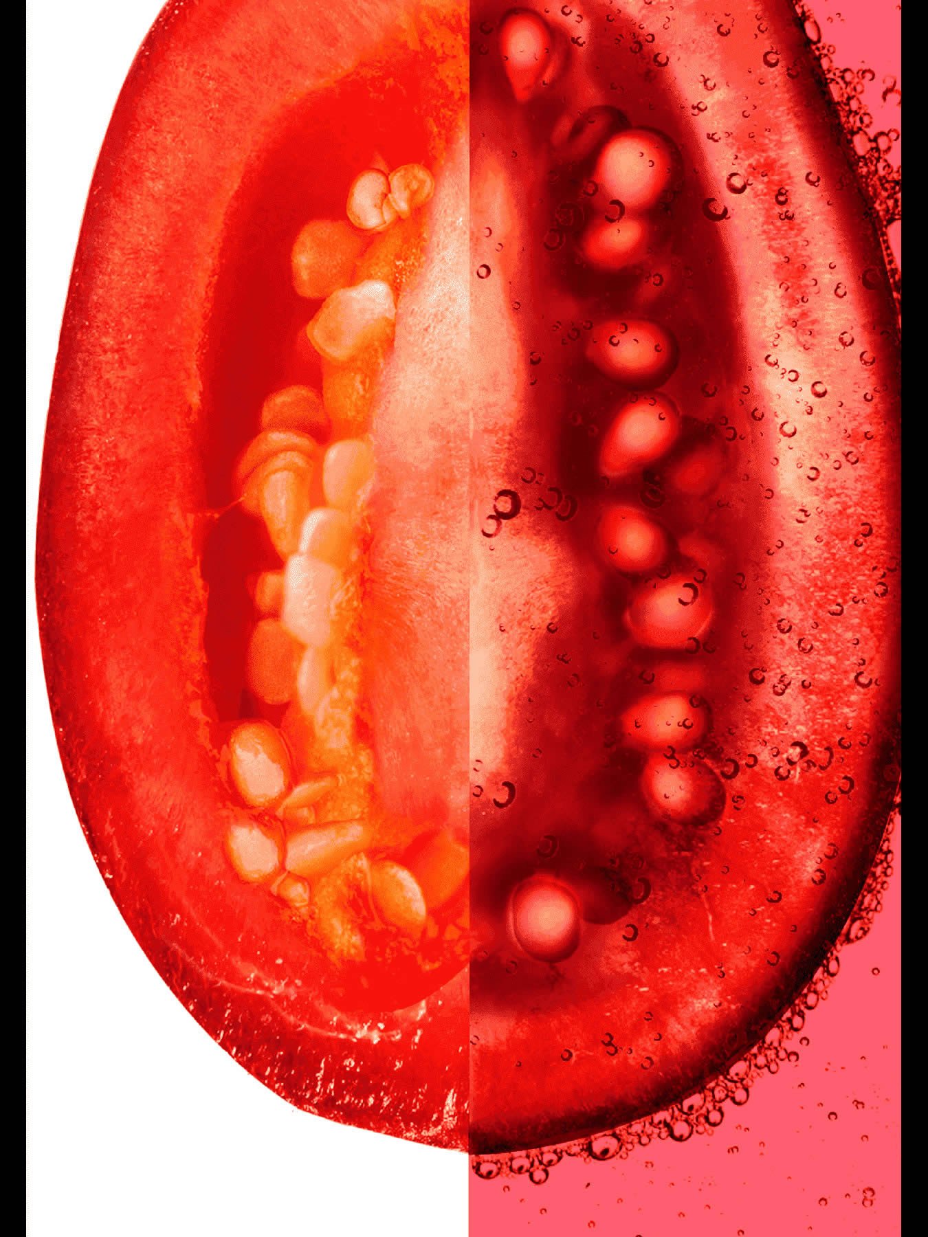 Fructis Hair Food Goji