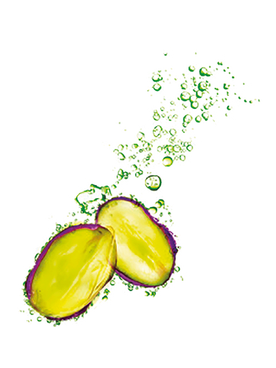 Fructis Nutri Rizos