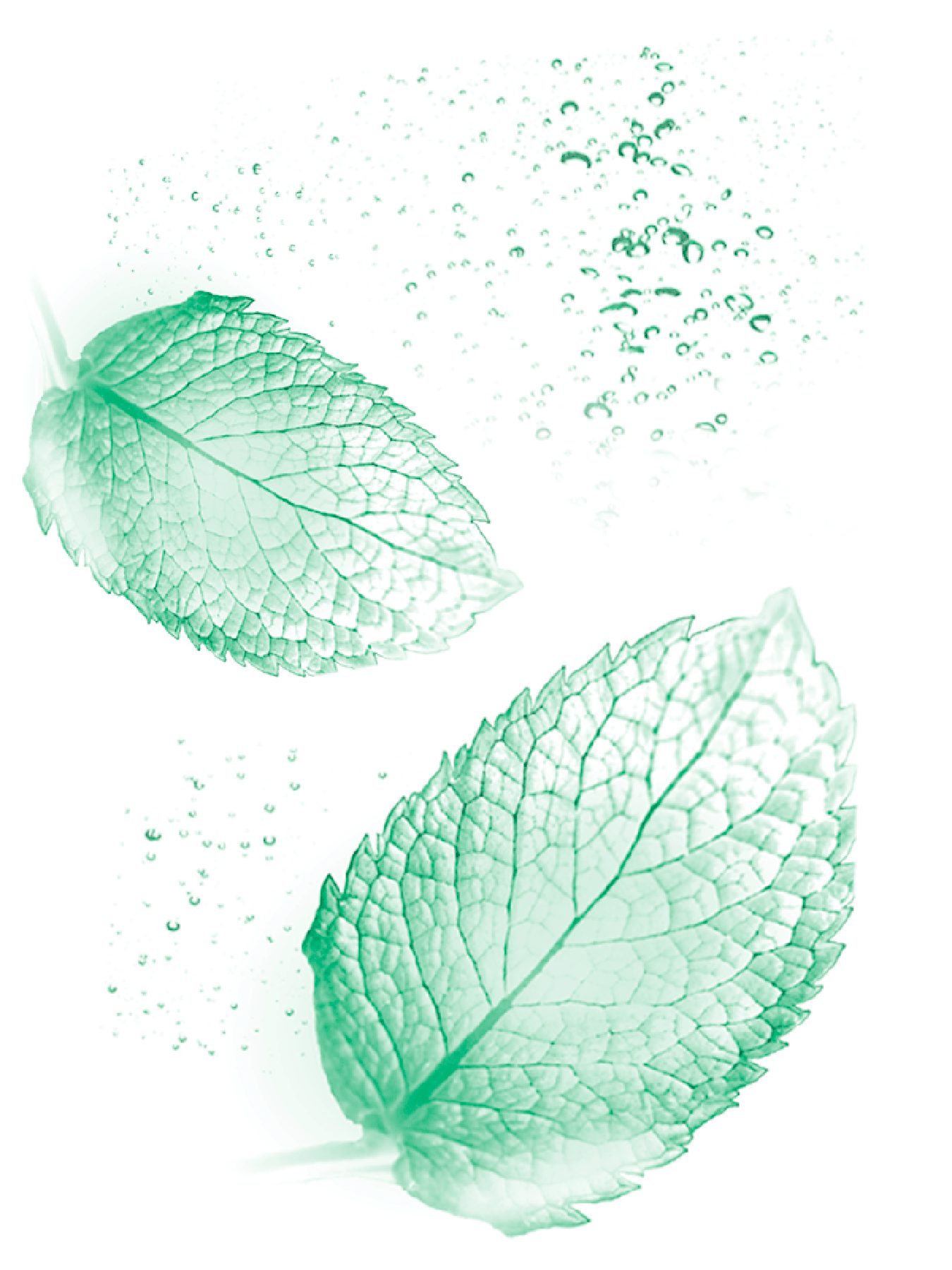 Fructis Menta Refrescante