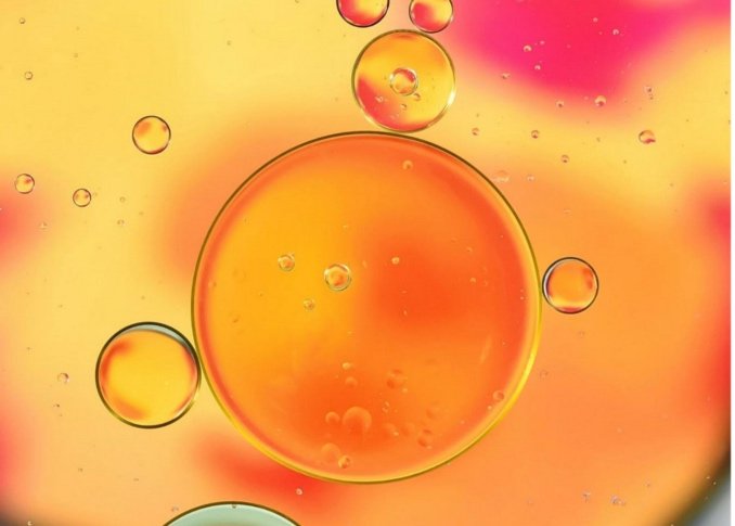 Aceites vegetales para el pelo, tus mejores aliados