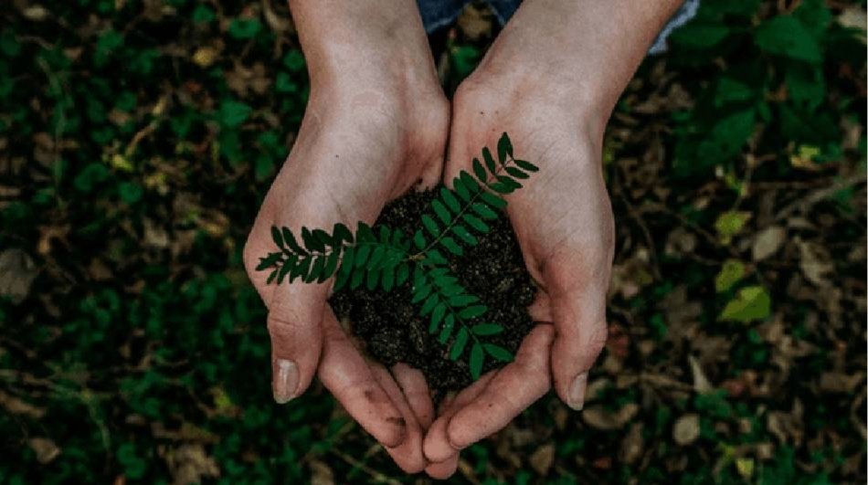 Día Mundial de la Tierra. Así se celebra.